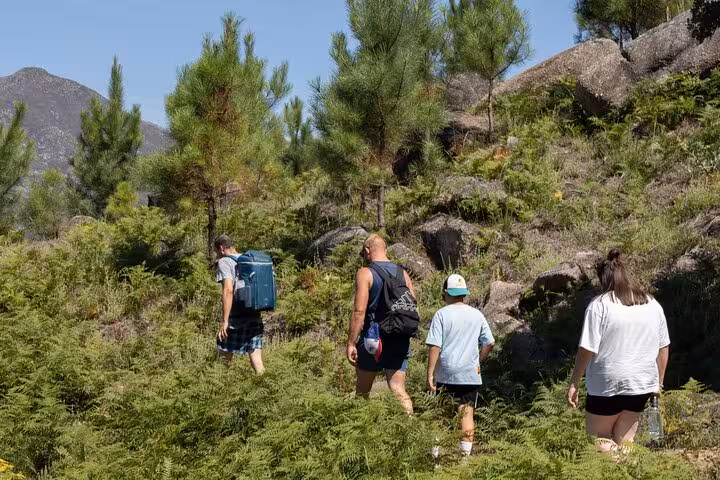 Hikers exploring lush trails in Geres National Park, surrounded by greenery and scenic mountain views.