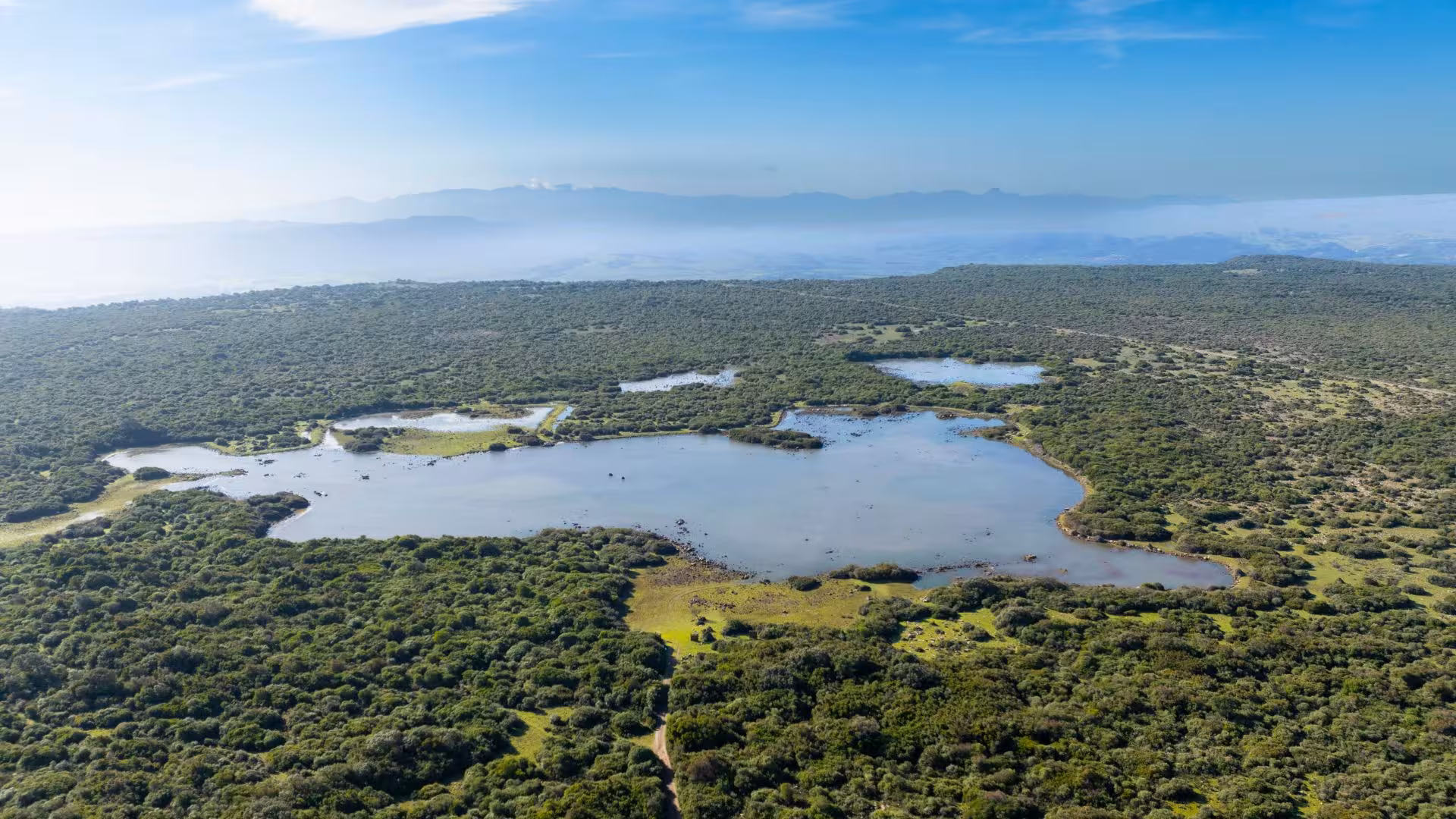 Aerial view of lush wetlands and green landscapes in Giara Park, offering a serene nature escape in Genoni.