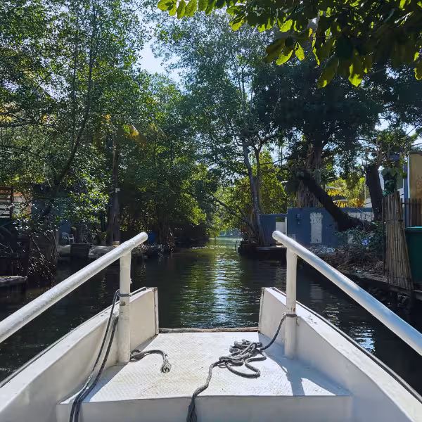 Boat navigating through a narrow waterway surrounded by dense greenery on Gigóia Island's private tour.
