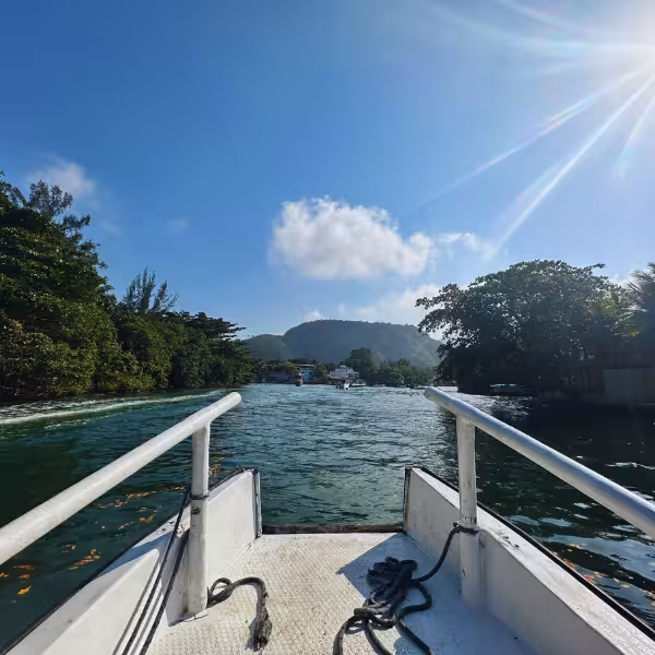 View from a boat on Gigóia Island tour, showcasing lush greenery and serene waters under a bright blue sky.