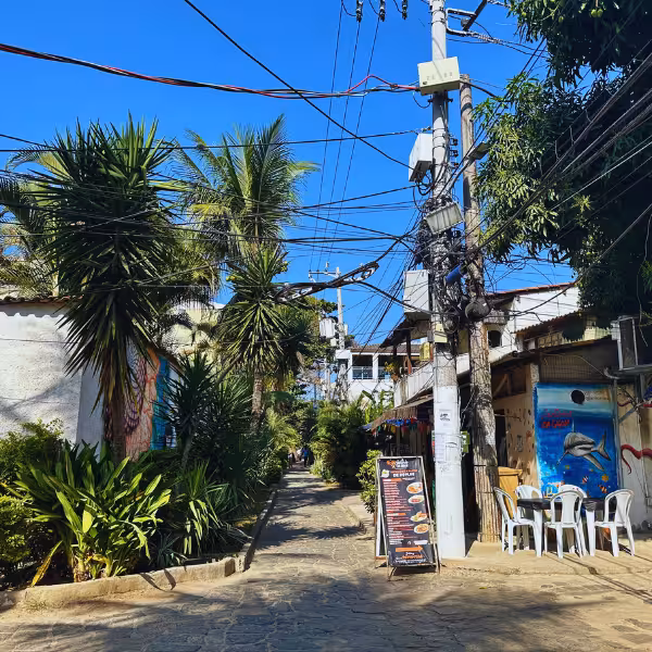 Stroll through Gigóia Island's charming streets lined with lush greenery and local eateries on this unique walking tour.