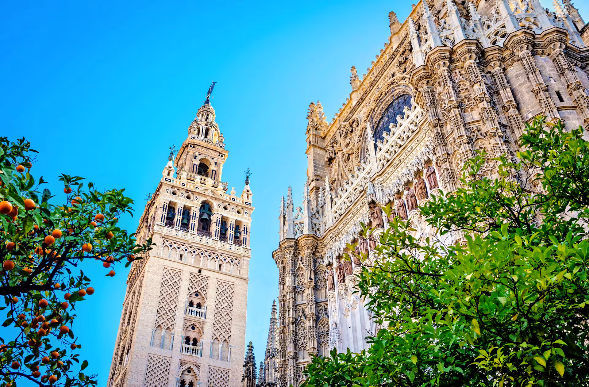 Giralda Tower and Seville Cathedral with orange trees under clear blue skies, Spain tour highlight.