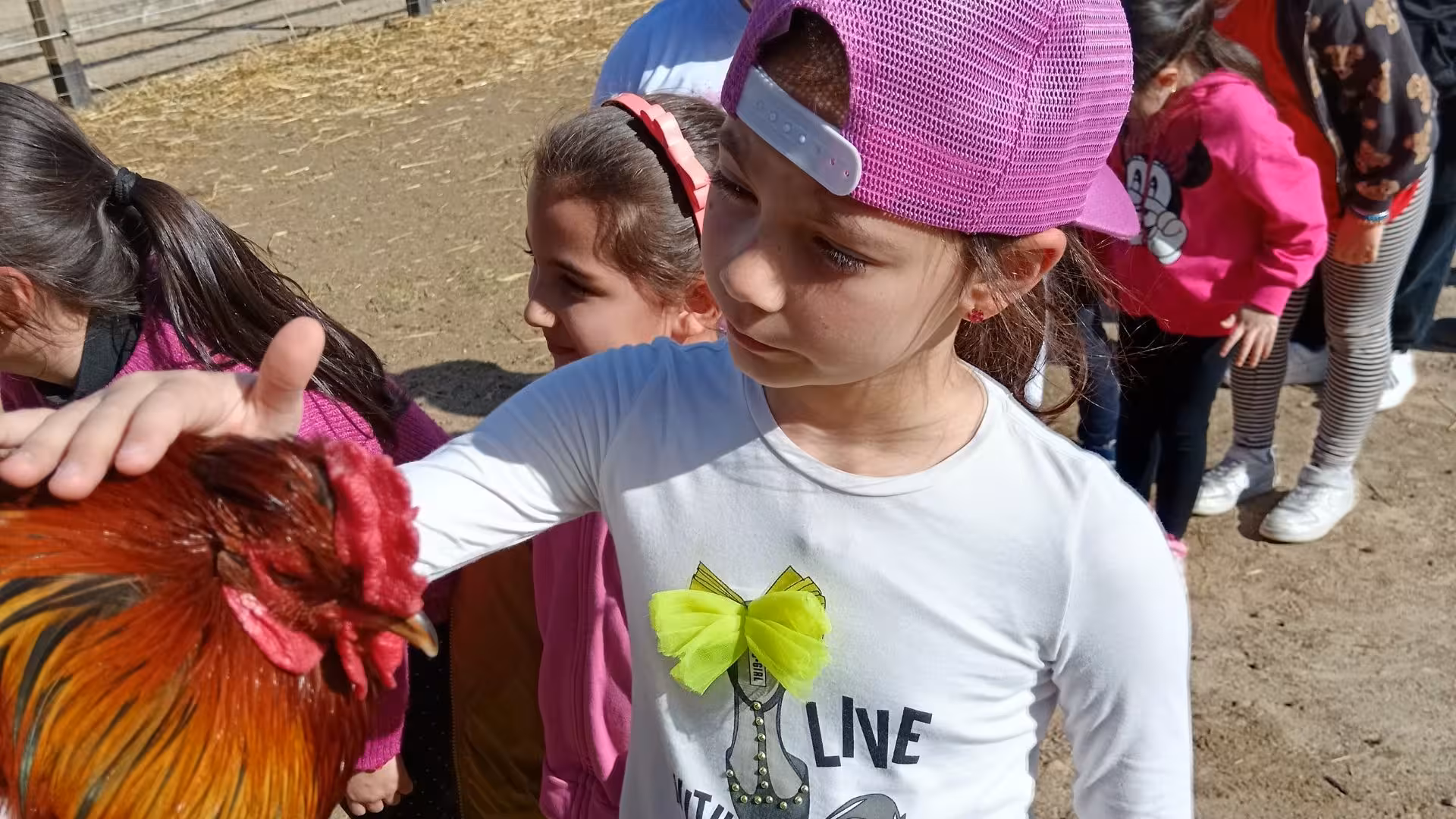 Young girl petting a rooster at Cagliari farm, engaging in interactive animal encounter for families.