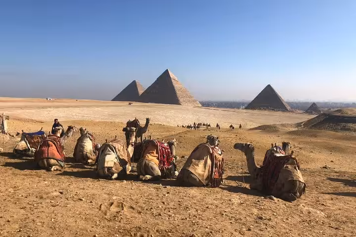 Camels resting in the Giza desert with the Great Pyramids in view, part of a private tour with Sphinx and ATV ride