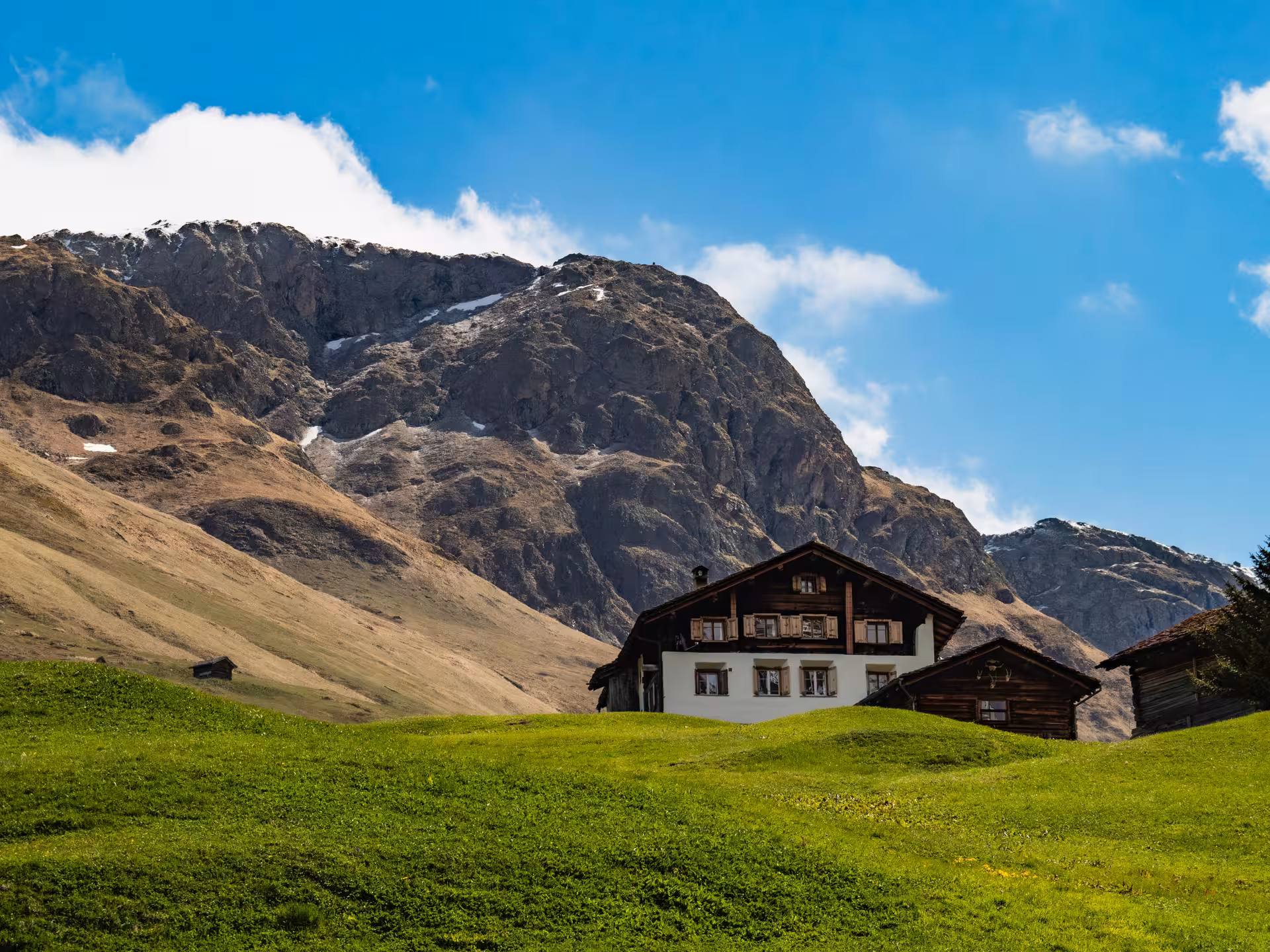 Swiss Alps chalet on green meadow along Glacier Express route, premium Zurich day tour scenic stop