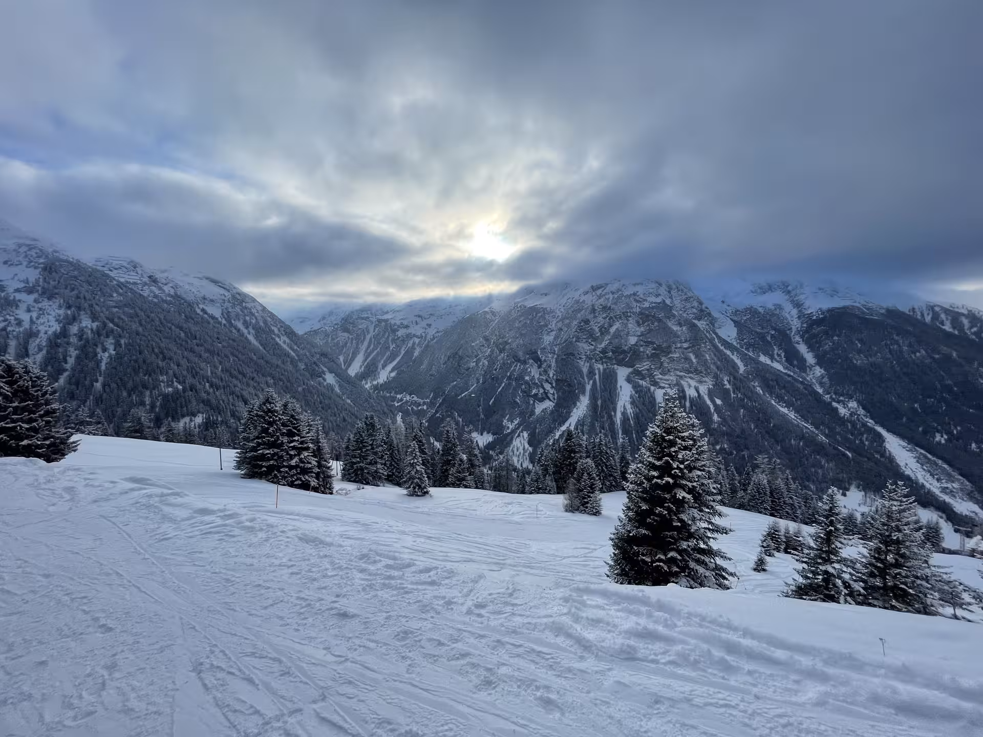 Panoramic snowy Alps and fir trees seen on Premium Glacier Express route tour from Zurich, winter landscape
