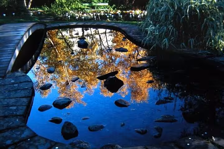 Serene pond reflecting autumn trees beside a wooden bridge in a tranquil garden setting in Akureyri.