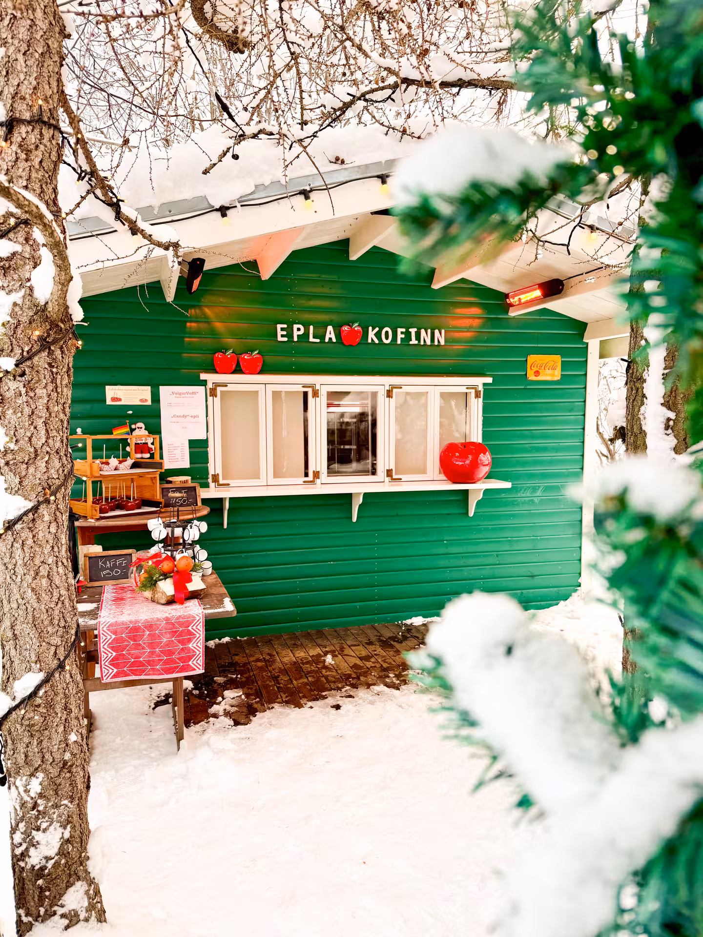 Snowy green Eplakofinn apple stand at Akureyri Christmas House, festive stop on Goðafoss day tour Iceland