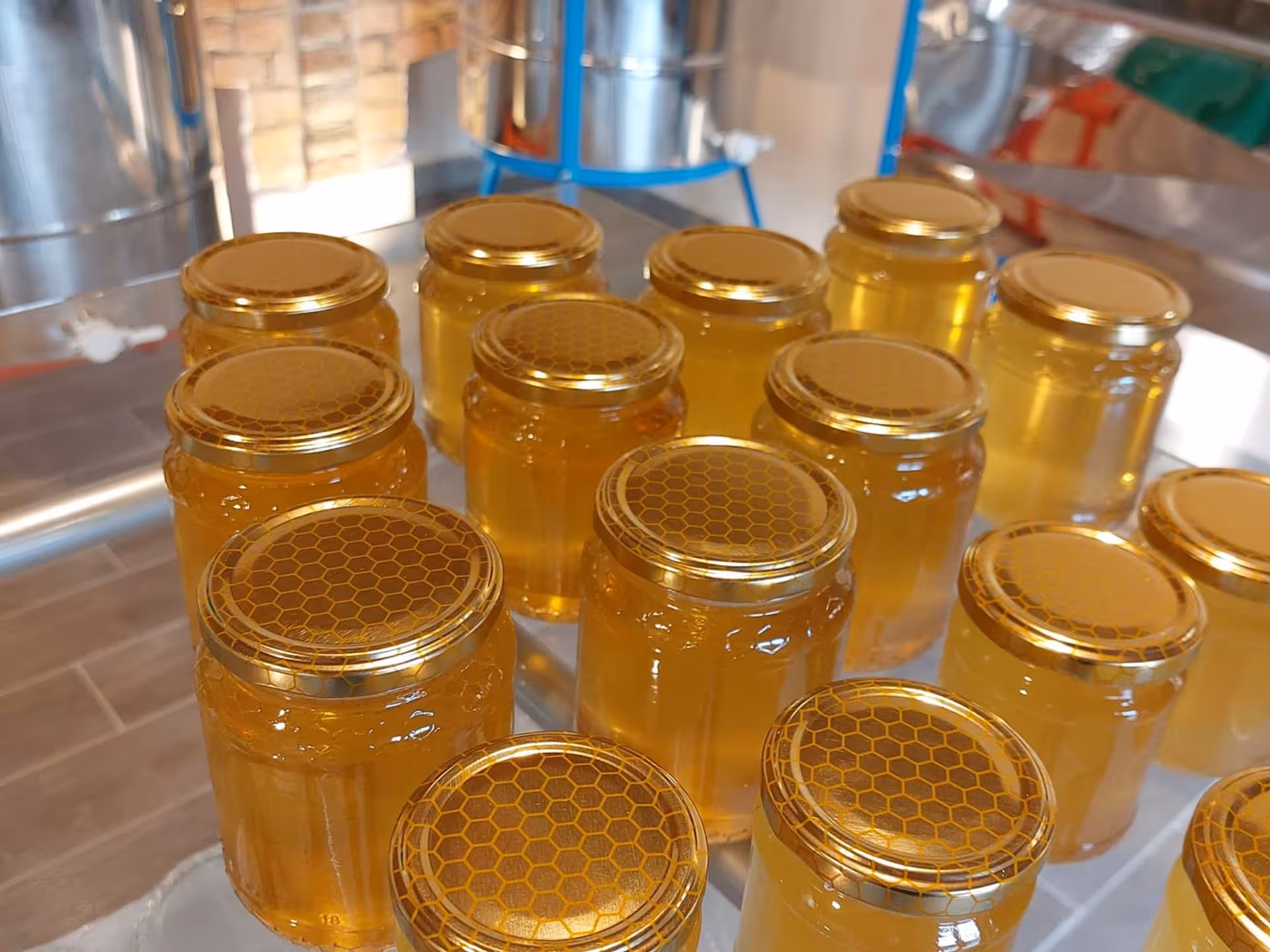 Golden honey jars with hexagonal lids displayed at Monferrato beekeeping tour and honey tasting experience.
