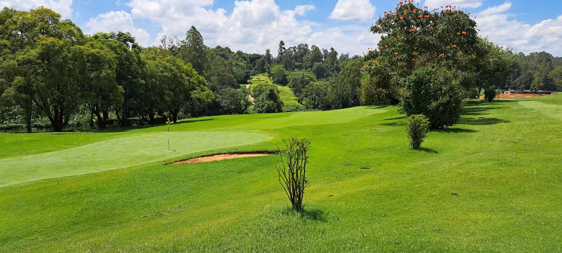 Expansive green golf course with vibrant trees under a clear sky, ideal for golf enthusiasts on a beach and safari vacation.