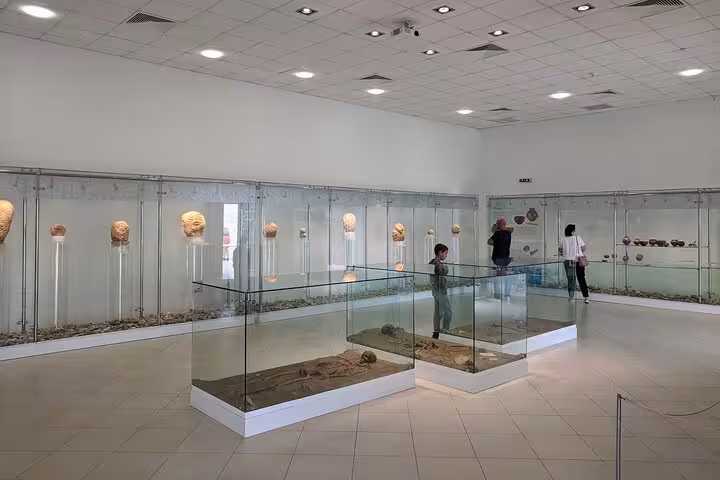 Exhibit of archaeological artifacts in a modern museum setting on the Golubac Fortress and Iron Gate tour.