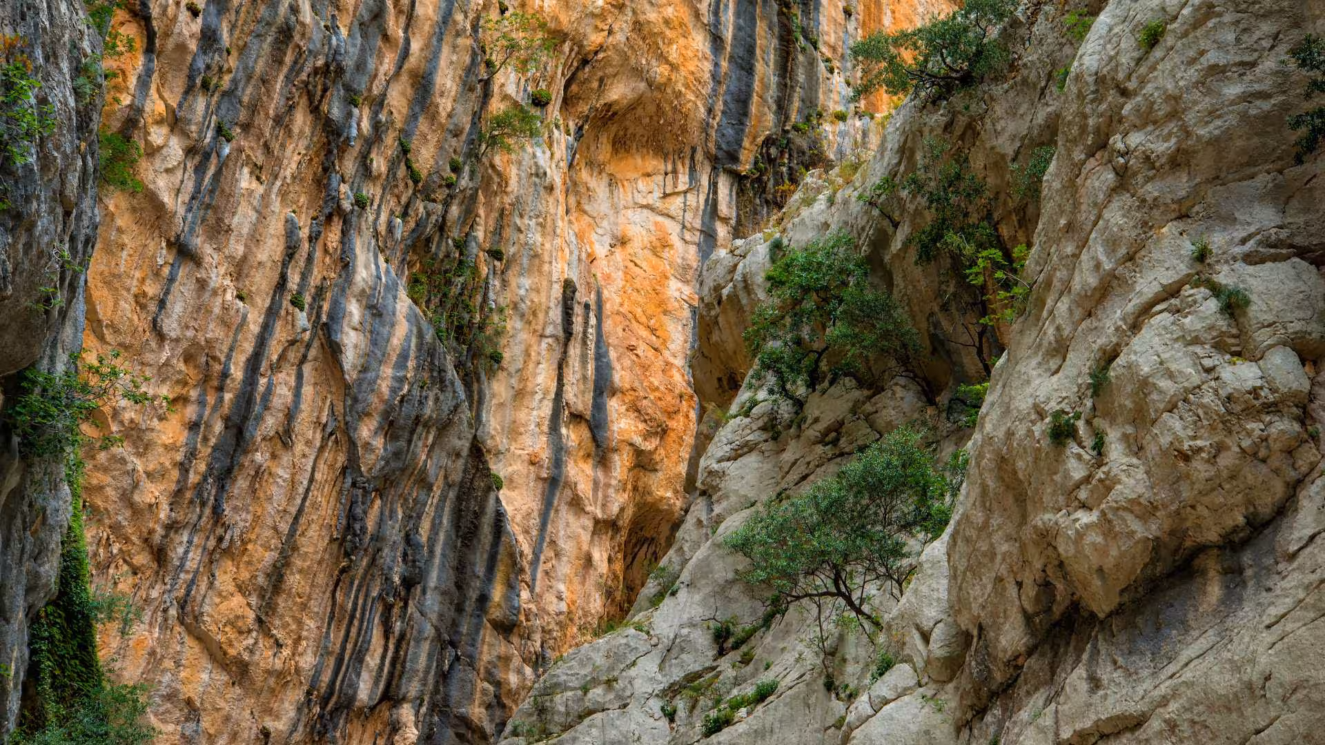 Close-up view of rugged rock formations in Gorropu Canyon, showcasing natural beauty and adventure trekking in Sardinia.
