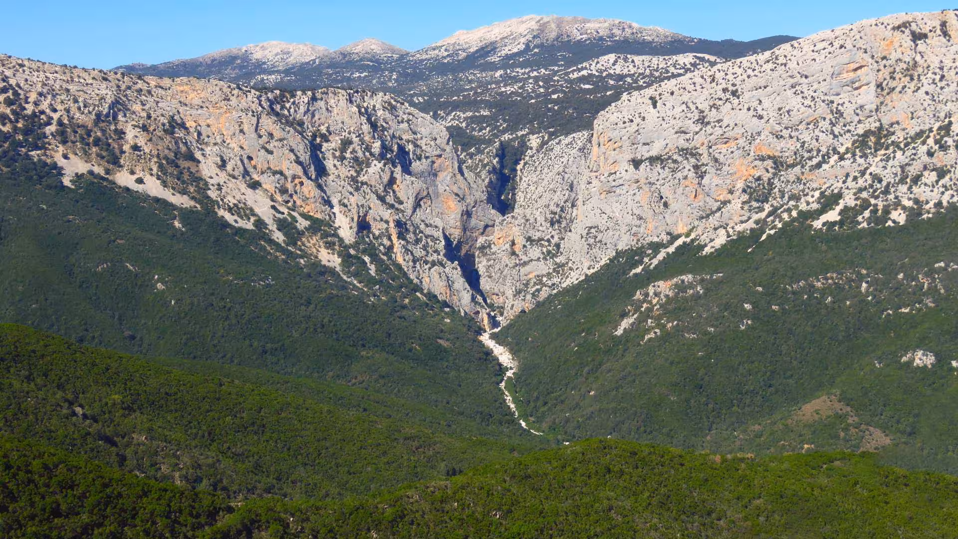 Stunning view of Gorropu Canyon's rocky cliffs and lush green forests near Cala Gonone, perfect for trekking tours.