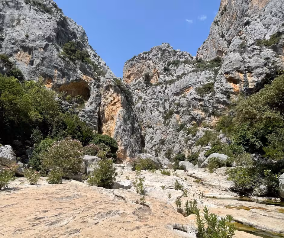 Close-up of Gorropu Canyon's dramatic rock faces with scattered vegetation and clear skies.