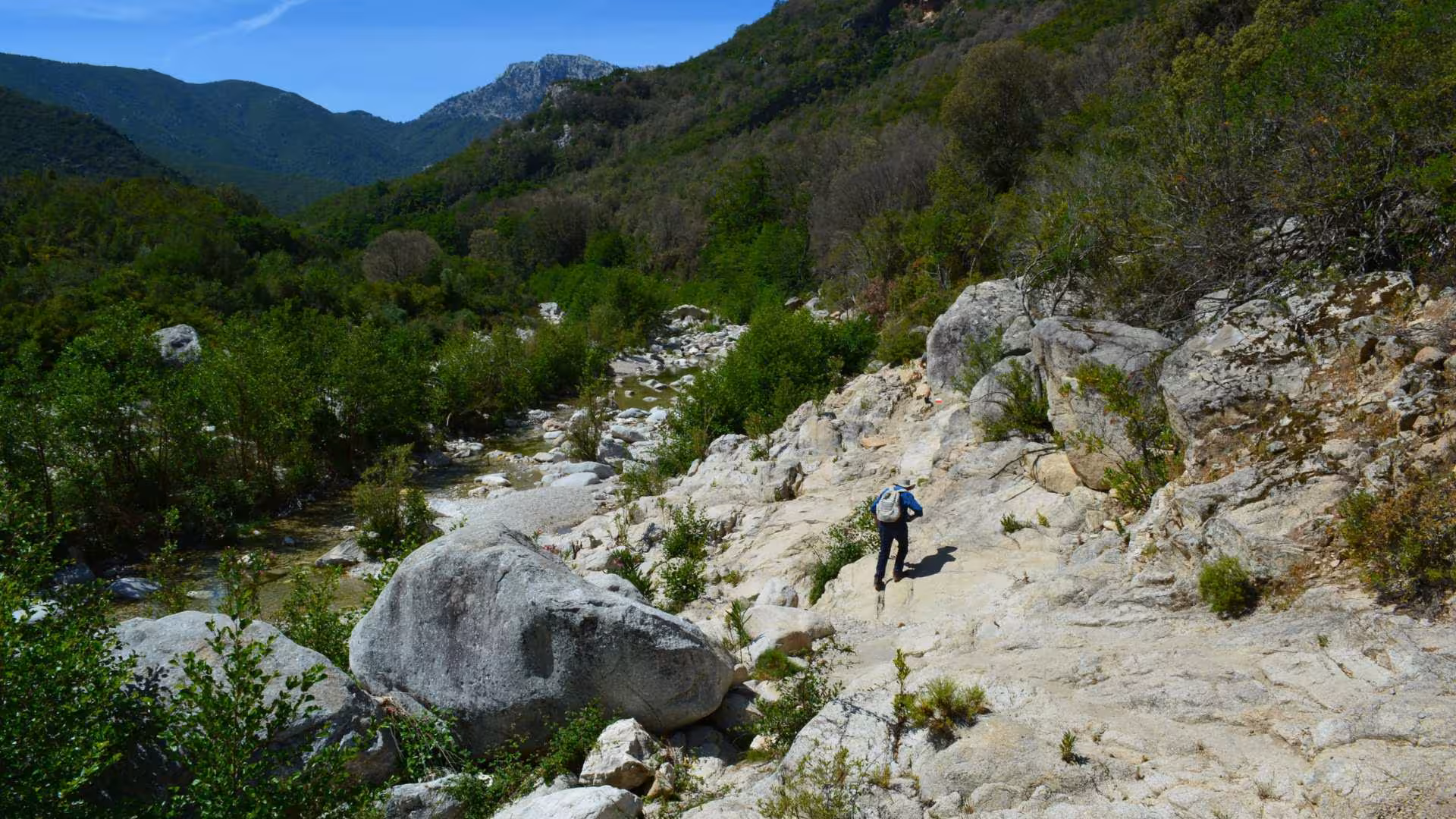 Hiker explores rocky terrain and lush greenery in Gorropu Canyon, Sardinia, perfect for trekking adventures.
