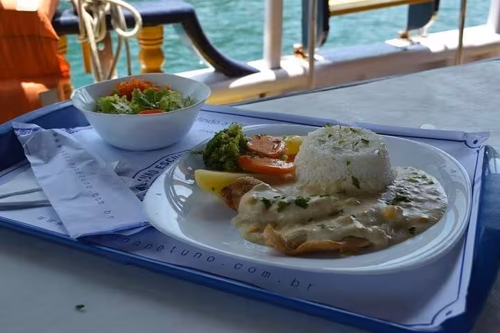 Gourmet plated lunch with rice, vegetables, and sauce on a boat tour by Paraty Tours, overlooking the scenic waters.