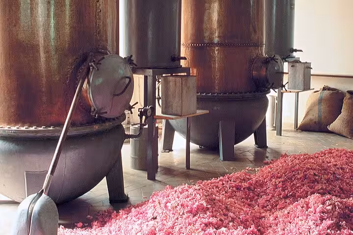 Copper distillation tanks surrounded by fragrant rose petals at a Grasse perfume factory, highlighting the scent-making process.