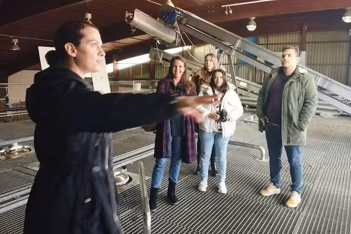 Winery tour in Greece with guide explaining grape processing, Athens to Nemea and Santorini wine roads