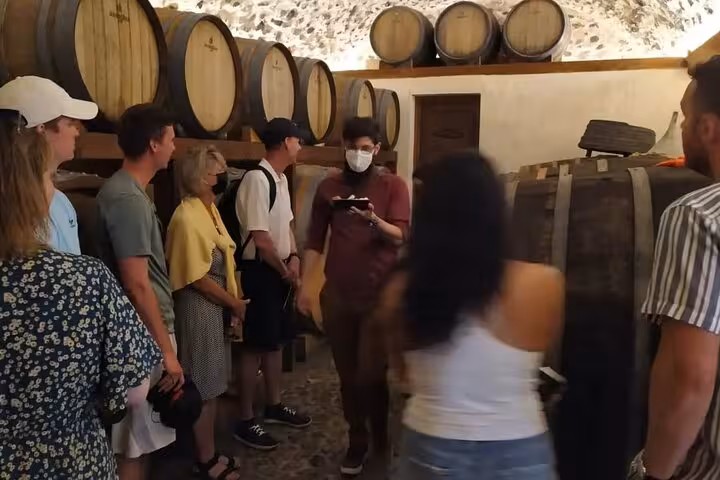 Winery tour group in Greece tasting cellar with oak barrels, Greece Wine Roads Athens Nemea Santorini