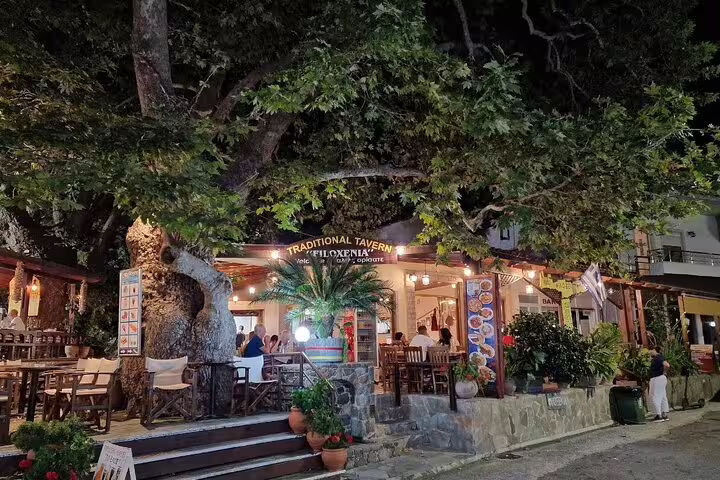 Charming night view of a traditional Greek taverna under a large tree, illuminated by warm lighting and surrounded by greenery.