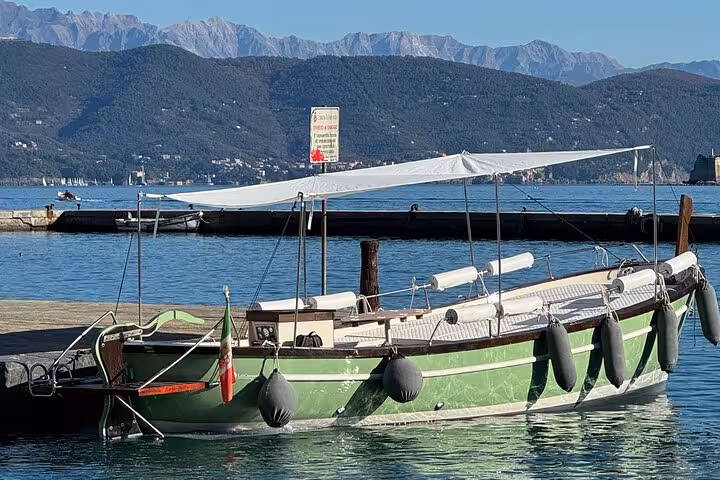 Elegant green boat moored at Cinque Terre with scenic mountain backdrop, ideal for a dream coastal tour experience.