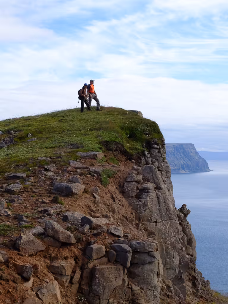 Hikers on a grassy sea cliff in Hornstrandir Nature Reserve, Westfjords Iceland, on Green Cliffs tour