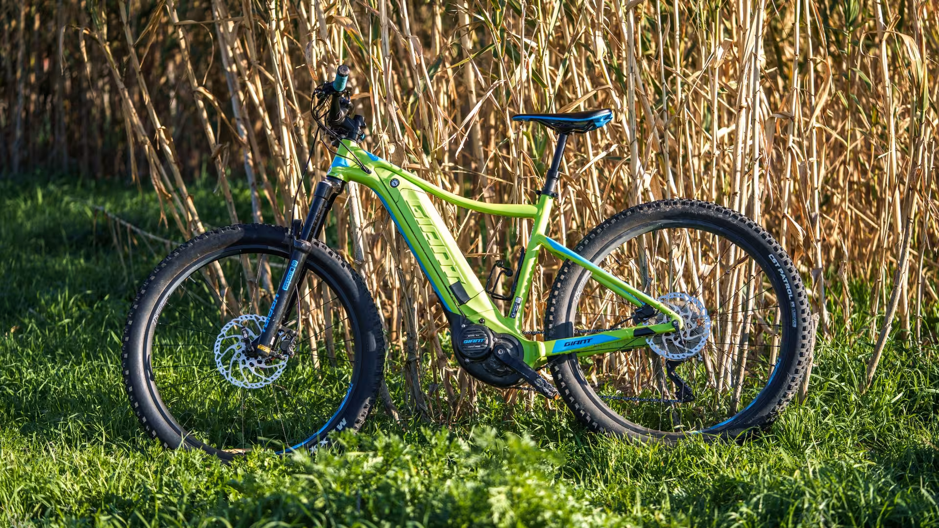 Green e-bike resting against tall grass, perfect for exploring Sardinia's scenic countryside trails.
