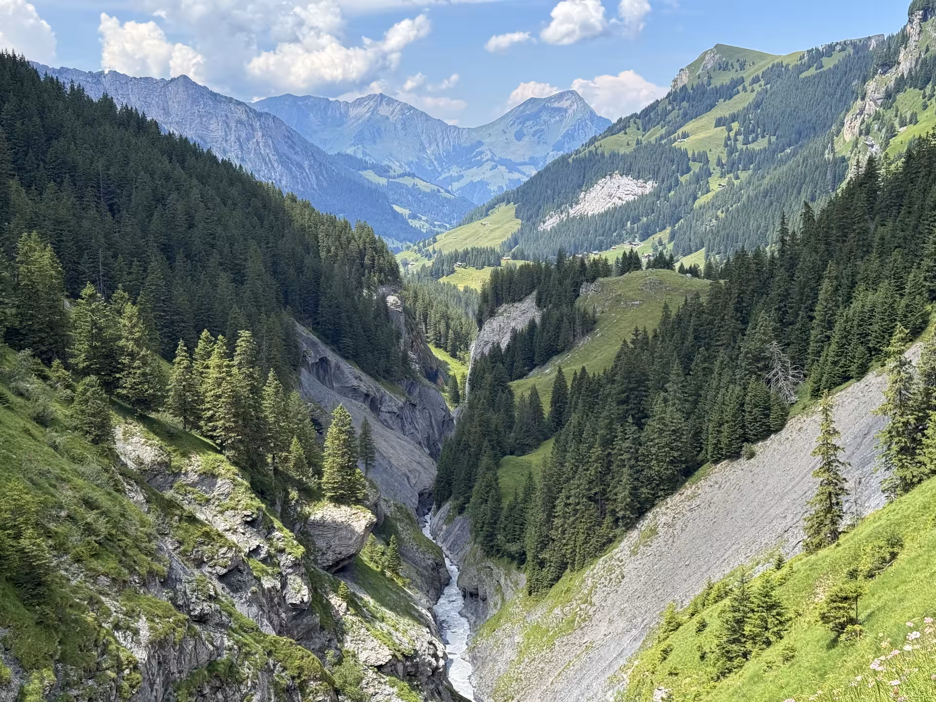 Deep pine valley gorge and alpine peaks on Griesalp UNESCO E-bike tour route in the Swiss Alps
