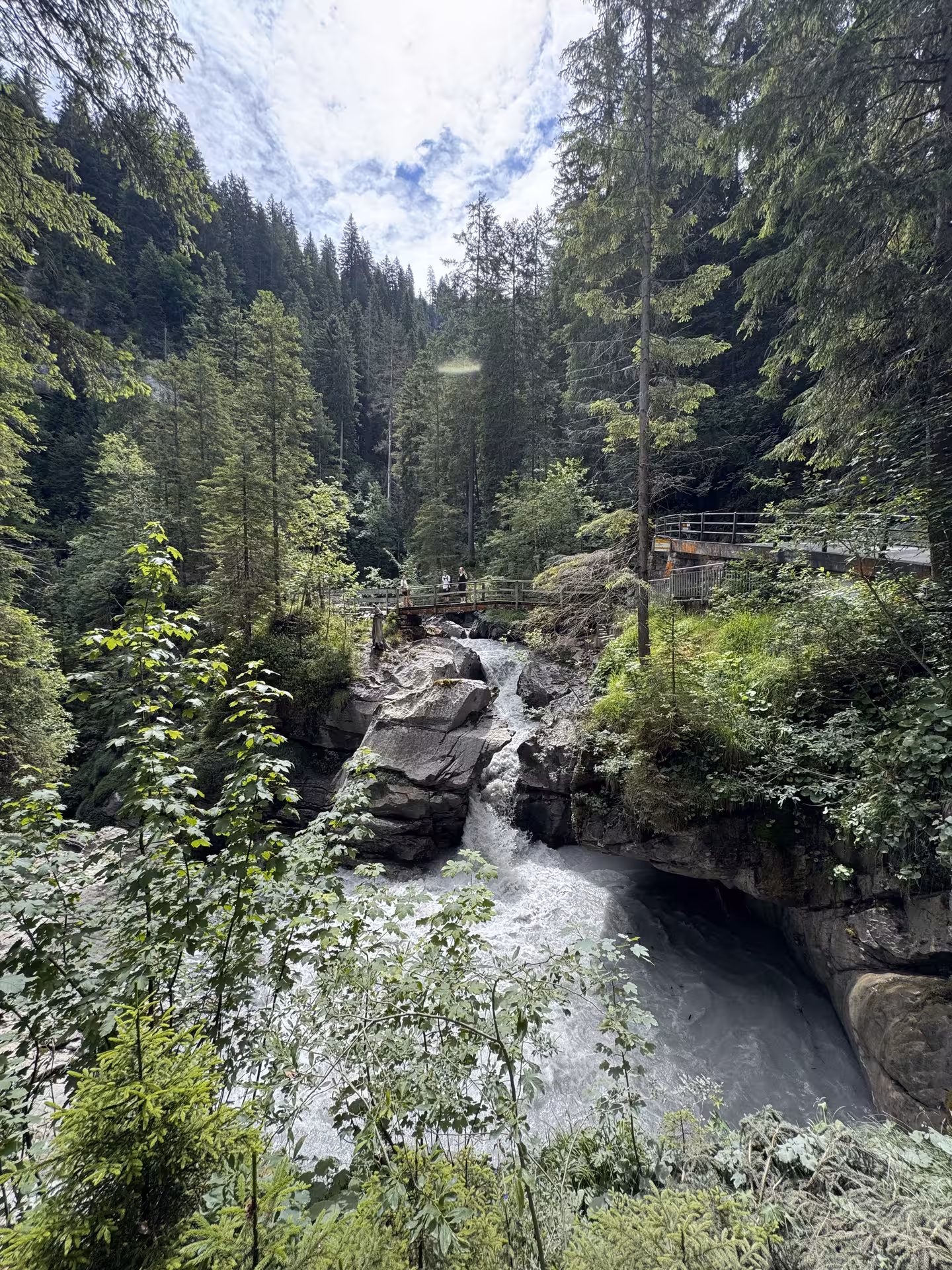 Forest gorge footbridge over rushing river, scenic stop on Griesalp UNESCO alpine valley E-bike tour