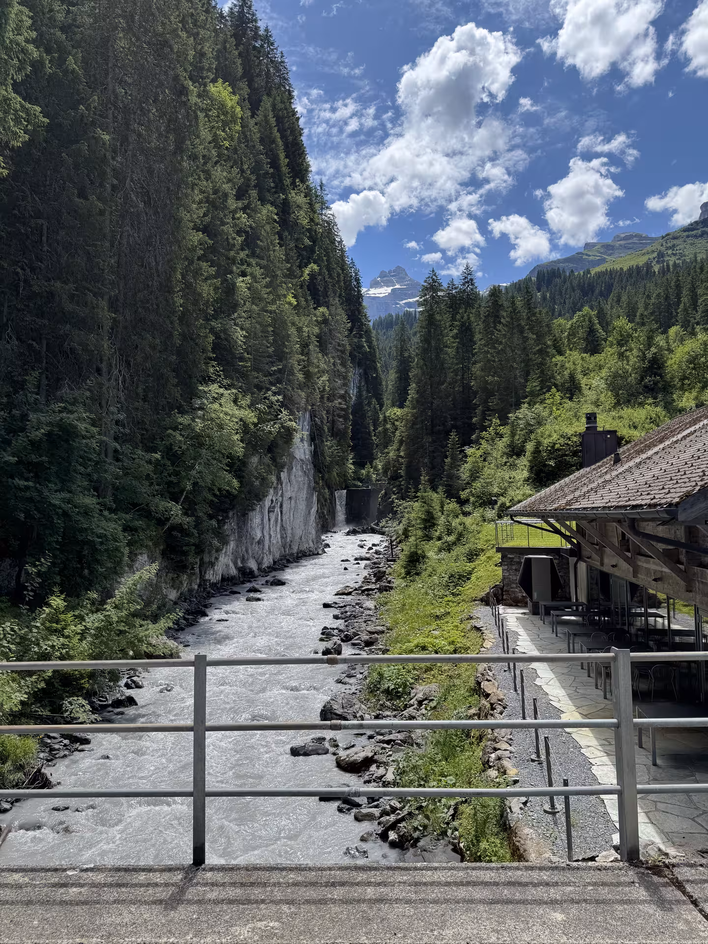 Mountain river and pine gorge near Griesalp, scenic highlight on UNESCO alpine valley E-bike tour in Switzerland