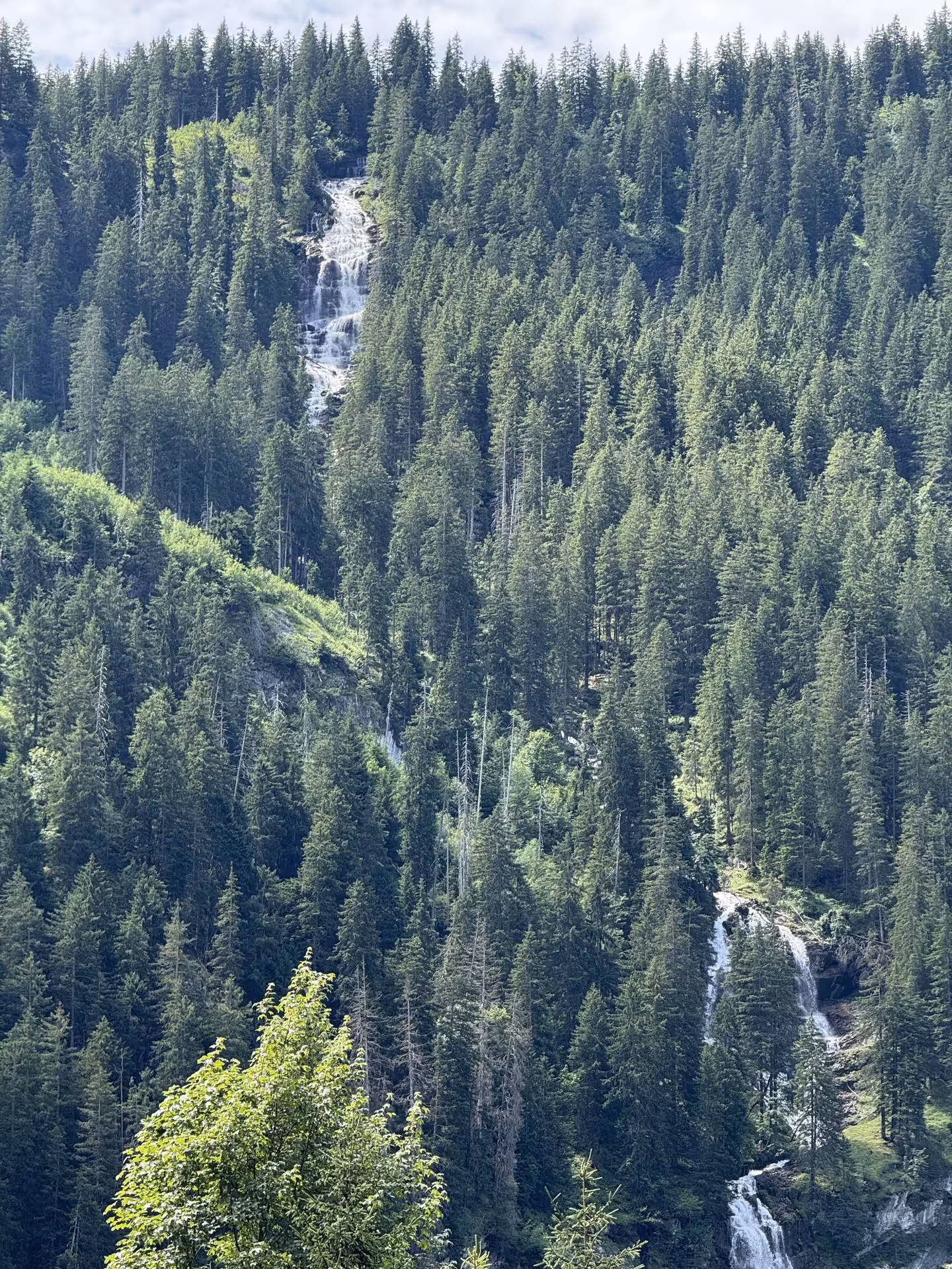 Waterfall cascading through pine forest in the Griesalp UNESCO alpine valley, scenic stop on E-bike tour
