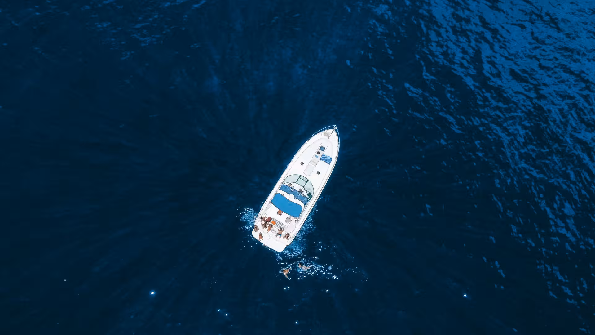 Aerial view of GRINGO Yacht cruising on deep blue ocean waters for shared whale and dolphin watching tour.