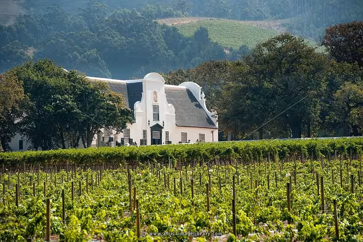 Scenic view of Groot Constantia's historic Cape Dutch architecture surrounded by lush vineyards against a mountainous backdrop.