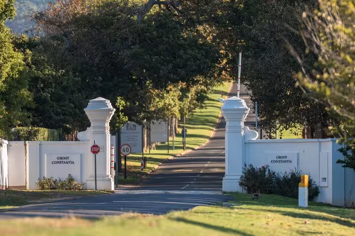 Scenic entrance to Groot Constantia wine estate featuring elegant white pillars and lush greenery, perfect for tours.