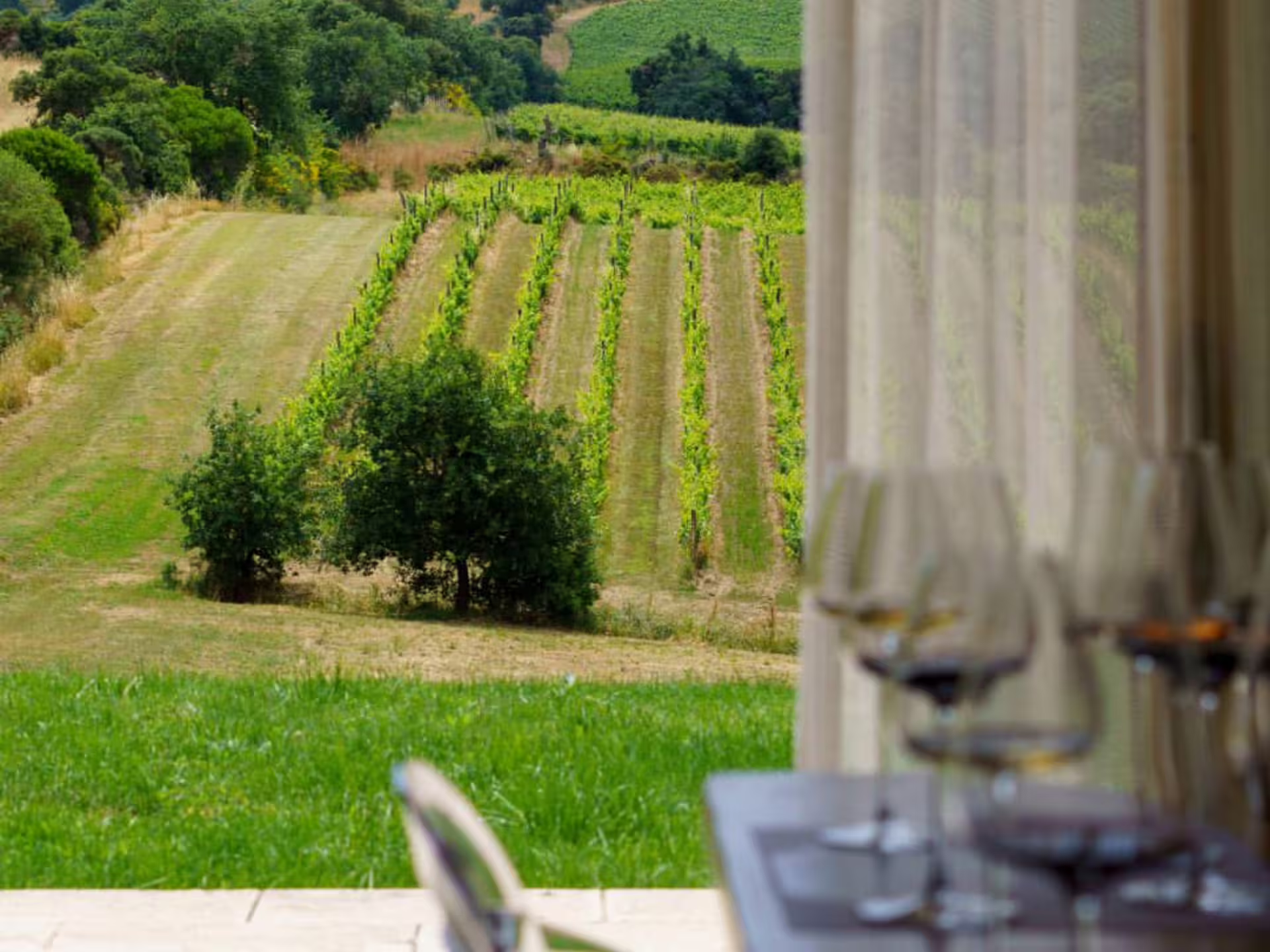 Vineyard view from a tasting room near Grosseto, featuring lush vineyards and wine glasses on a table.