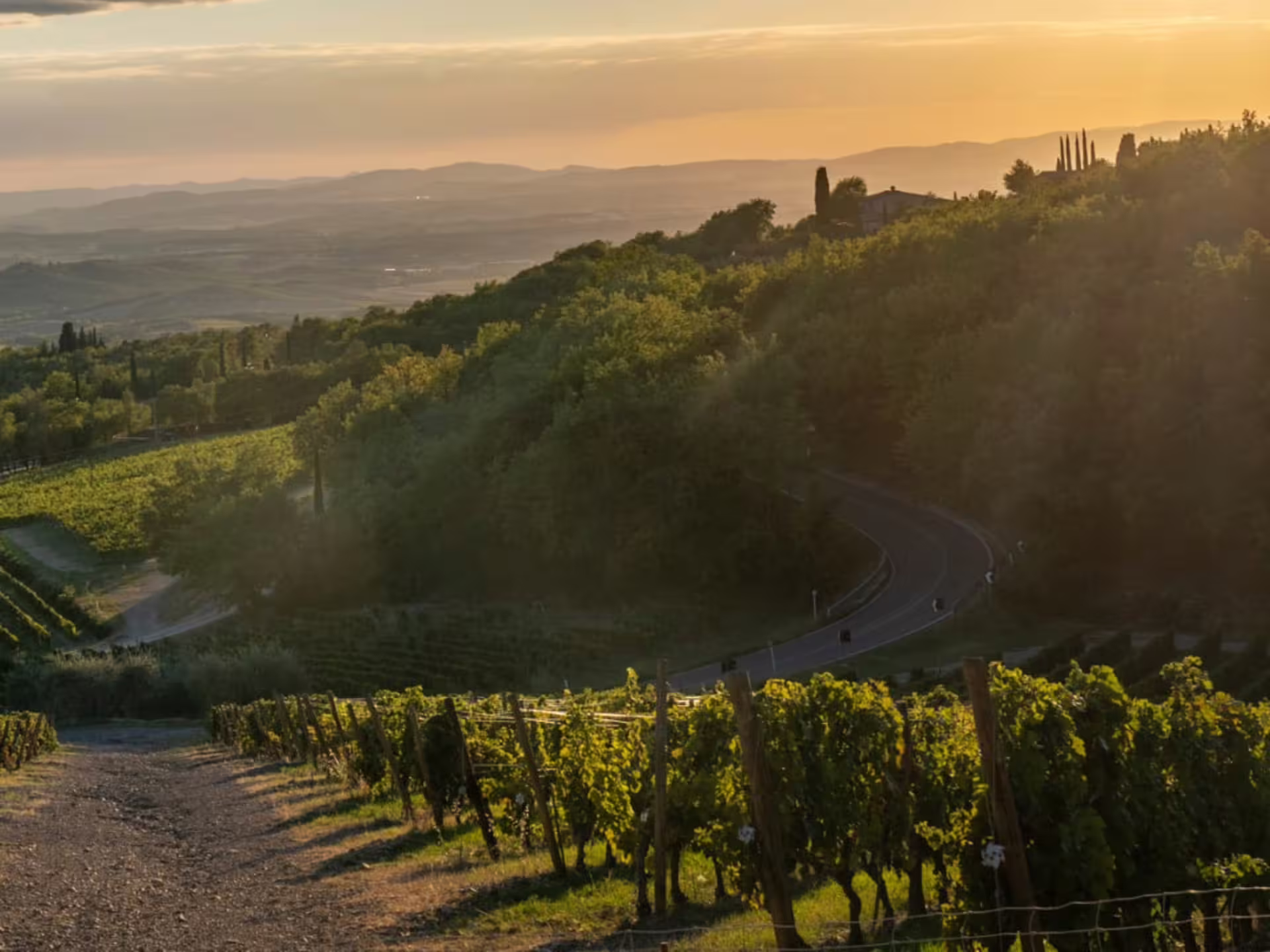 Scenic sunset over rolling vineyards near Grosseto, perfect for a winery tour and wine tasting experience.