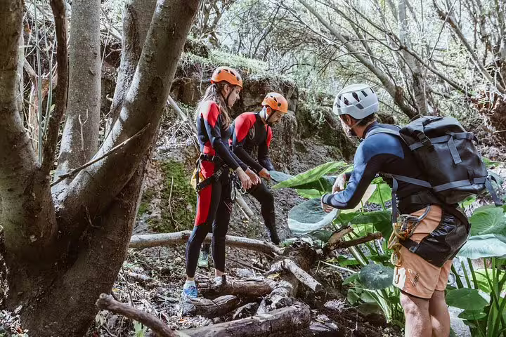 Group of canyoners in wetsuits and helmets exploring a dense rainforest, capturing the essence of a guided nature trek.