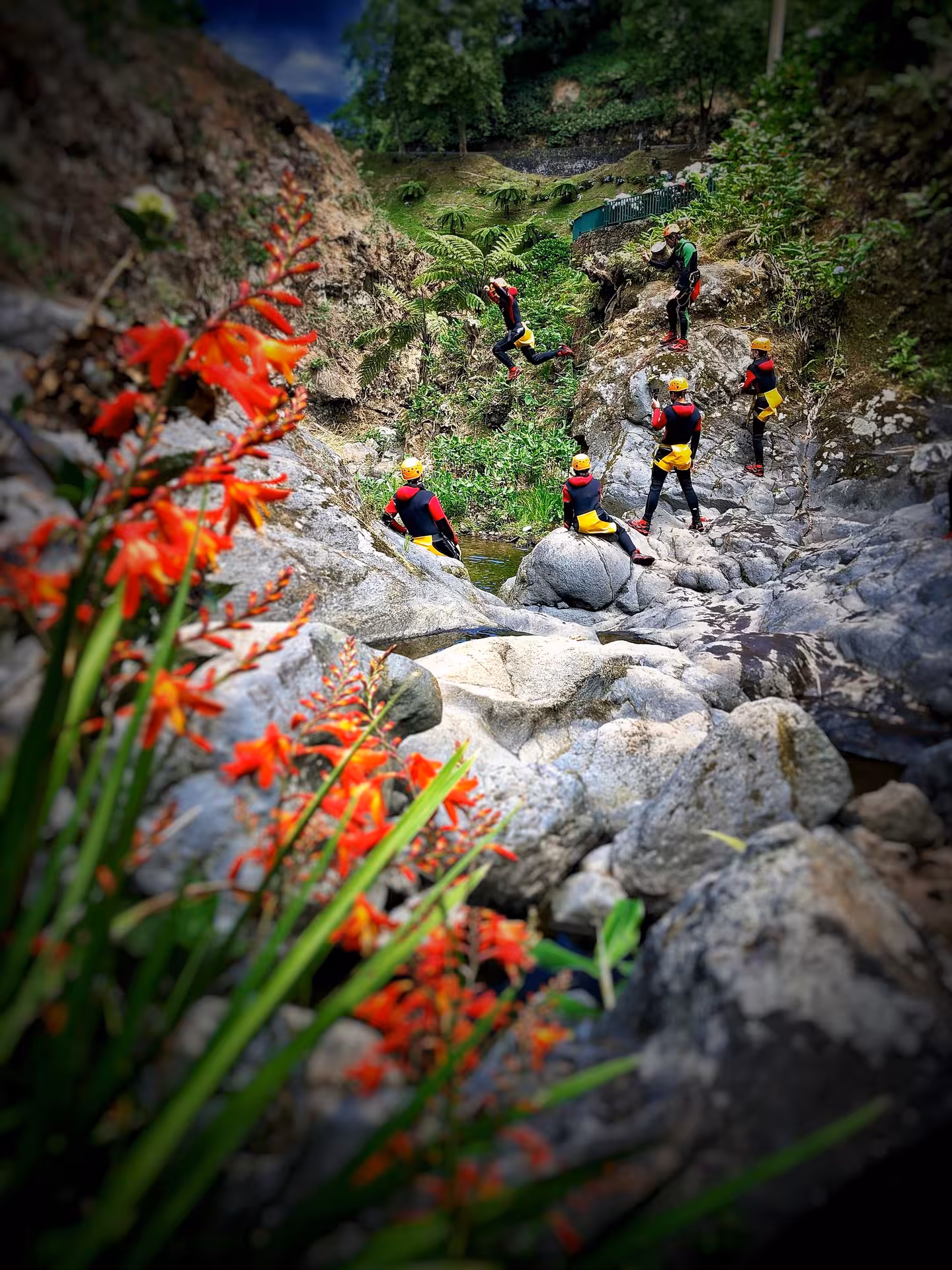 Group canyoning tour hiking and scrambling across rocky river gorge, wearing helmets and wetsuits in lush canyon