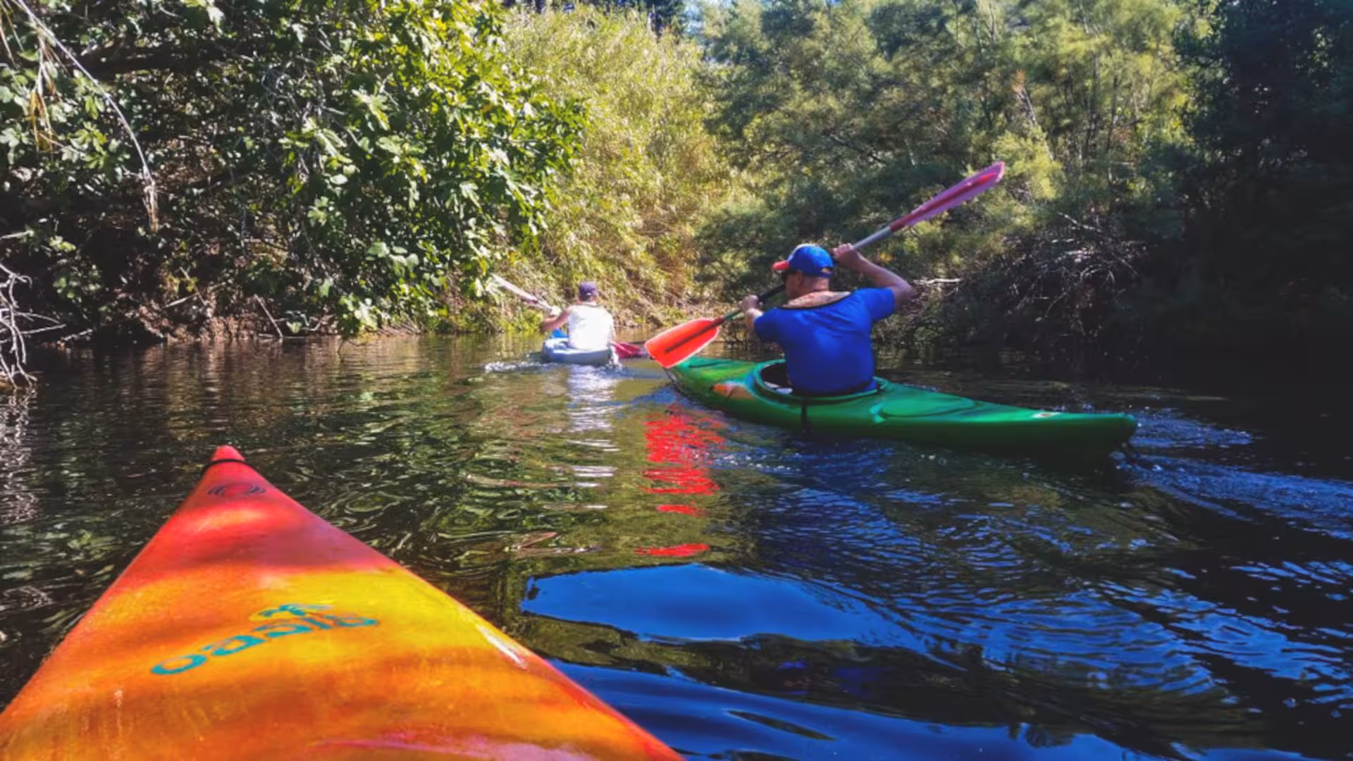 Group kayaking through lush greenery on the Temo River, Bosa, perfect for outdoor enthusiasts and nature lovers.
