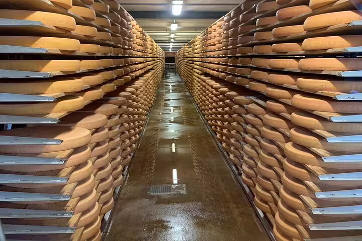 Aging cheese wheels neatly stacked in a dimly lit cellar during the Gruyères cheese tasting tour.