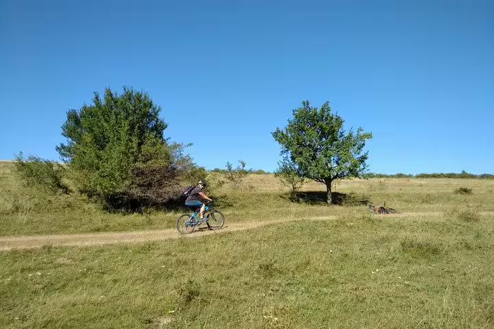 Cyclist riding a mountain bike on a dirt trail through green meadows in Transylvania