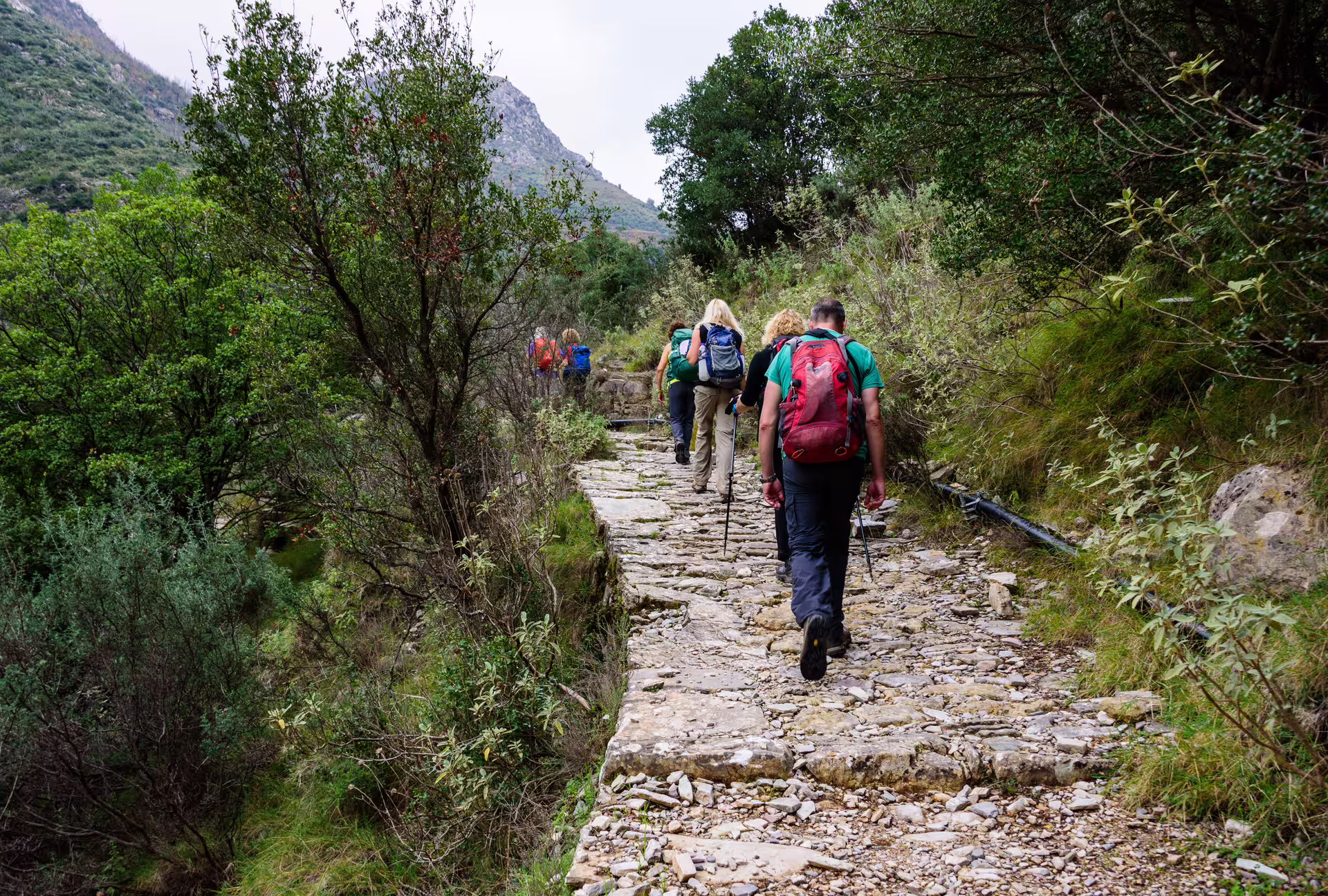 Guided hikers with backpacks on rocky trail through lush Ridomo Gorge, a scenic trekking tour in Greece