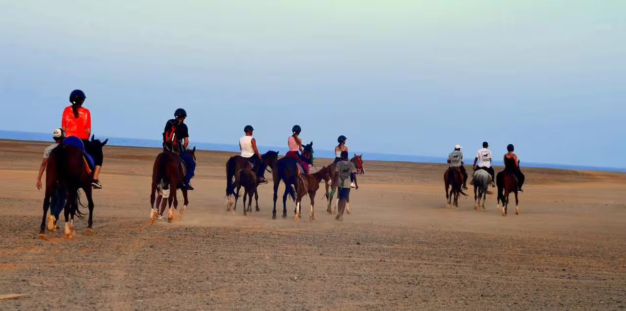 Guided horseback riding tour in Marsa Alam across desert beach, riders heading toward the Red Sea coastline