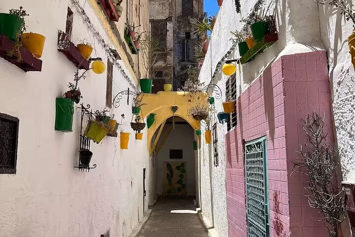 Charming narrow alley in Old Medina Fez adorned with colorful pots and traditional architecture, a highlight of walking tours.