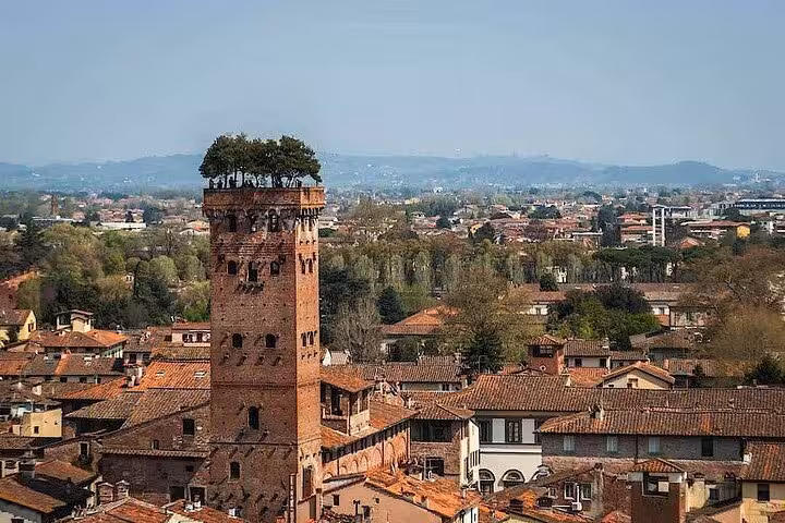 Scenic view of the Guinigi Tower in Lucca, featuring iconic rooftop trees against a backdrop of Tuscan landscape.