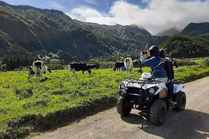 Rider on ATV during Half-day Quad Tour Seven Cities in Sete Cidades, São Miguel, passing cows and mountains