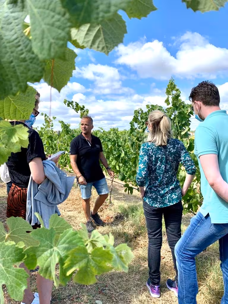 Guide explaining grape vines to visitors in a sunny vineyard during a guided half day wine tasting experience