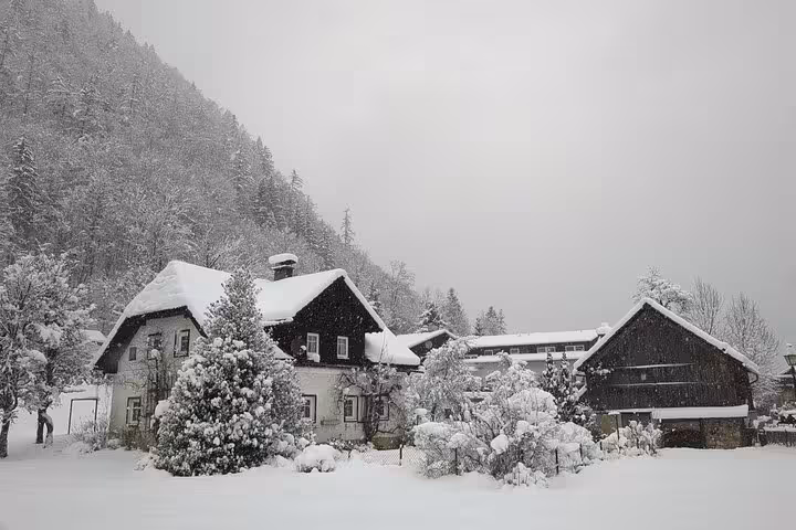 Snowy Hallstatt village houses and alpine trees, scenic winter stop on small-group day trip from Vienna