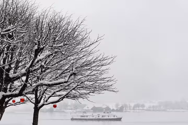 Winter view of Hallstatt lake with snowy tree and ferry, scenic small-group day trip from Vienna Austria