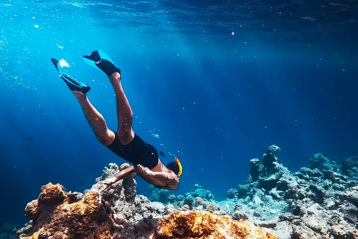 Snorkeler exploring vibrant coral reef at Hamata Islands, Red Sea day trip from Marsa Alam with lunch